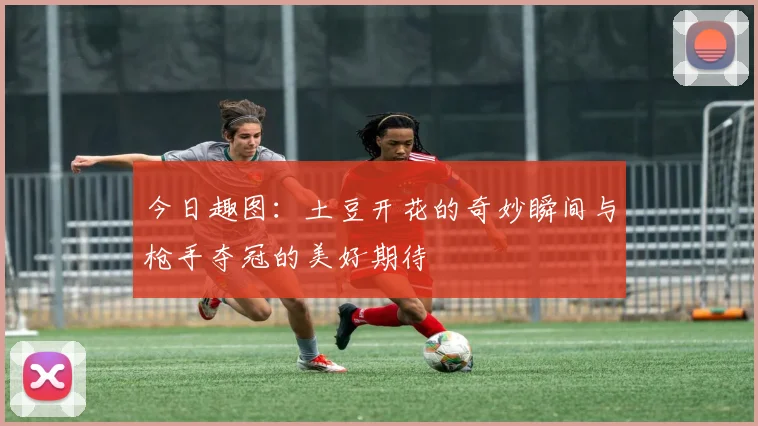 今日趣图：土豆开花的奇妙瞬间与枪手夺冠的美好期待