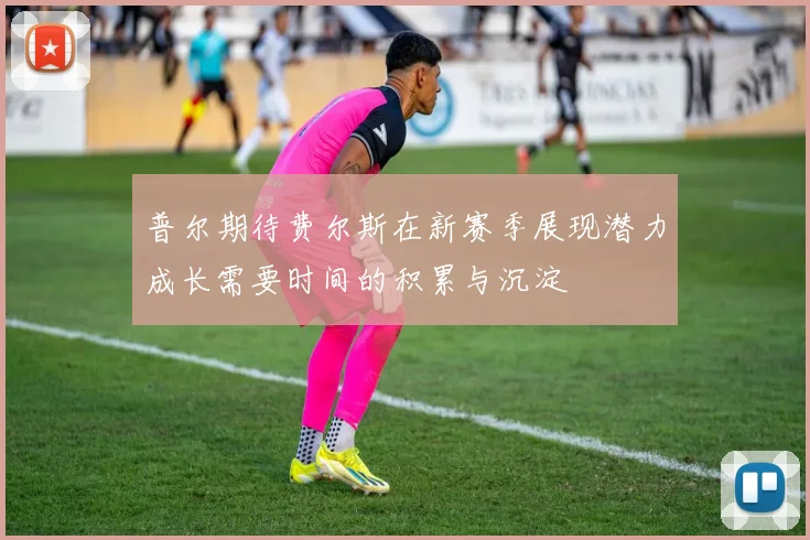 普尔期待费尔斯在新赛季展现潜力成长需要时间的积累与沉淀