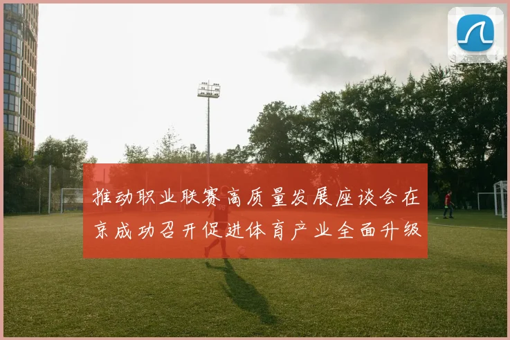 推动职业联赛高质量发展座谈会在京成功召开促进体育产业全面升级与创新发展