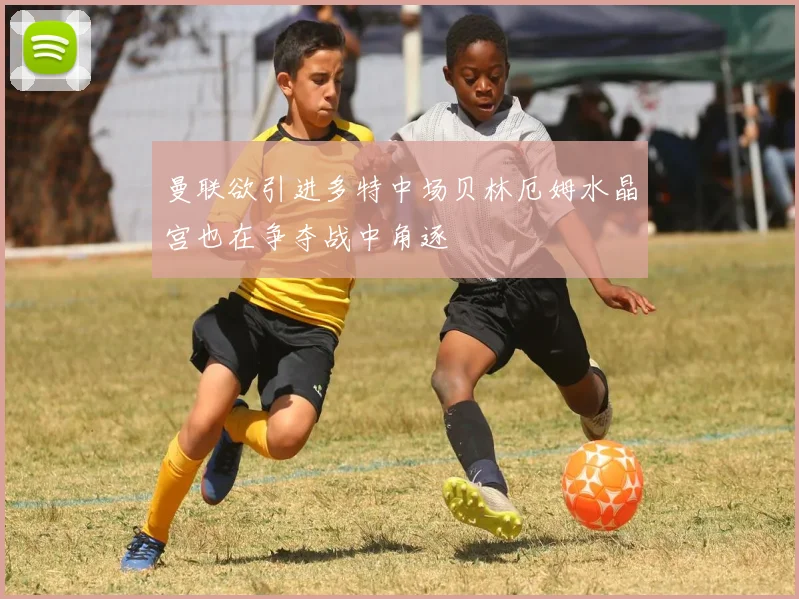 曼联欲引进多特中场贝林厄姆水晶宫也在争夺战中角逐