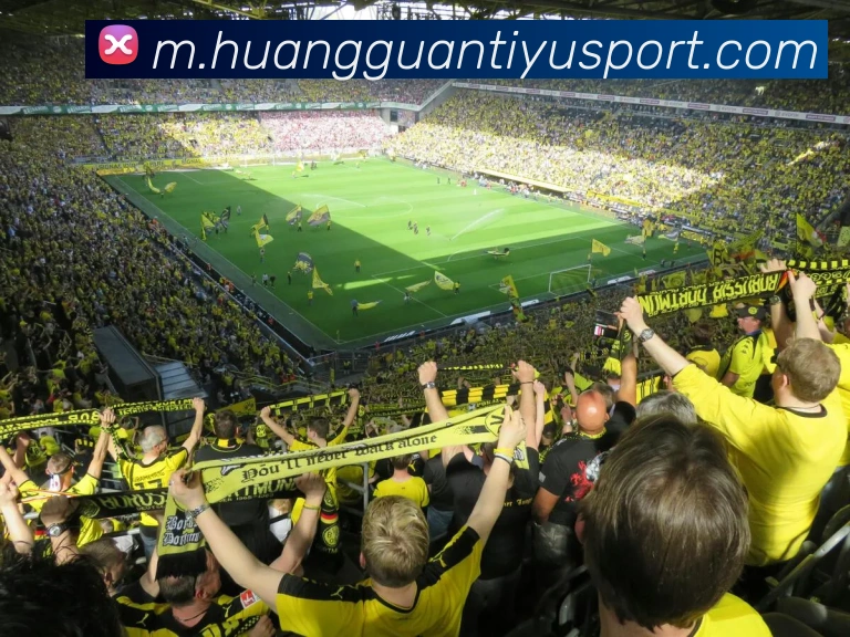 皇冠体育平台生态图